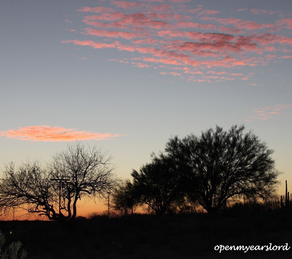 IMG_1695-cropped-and-signed