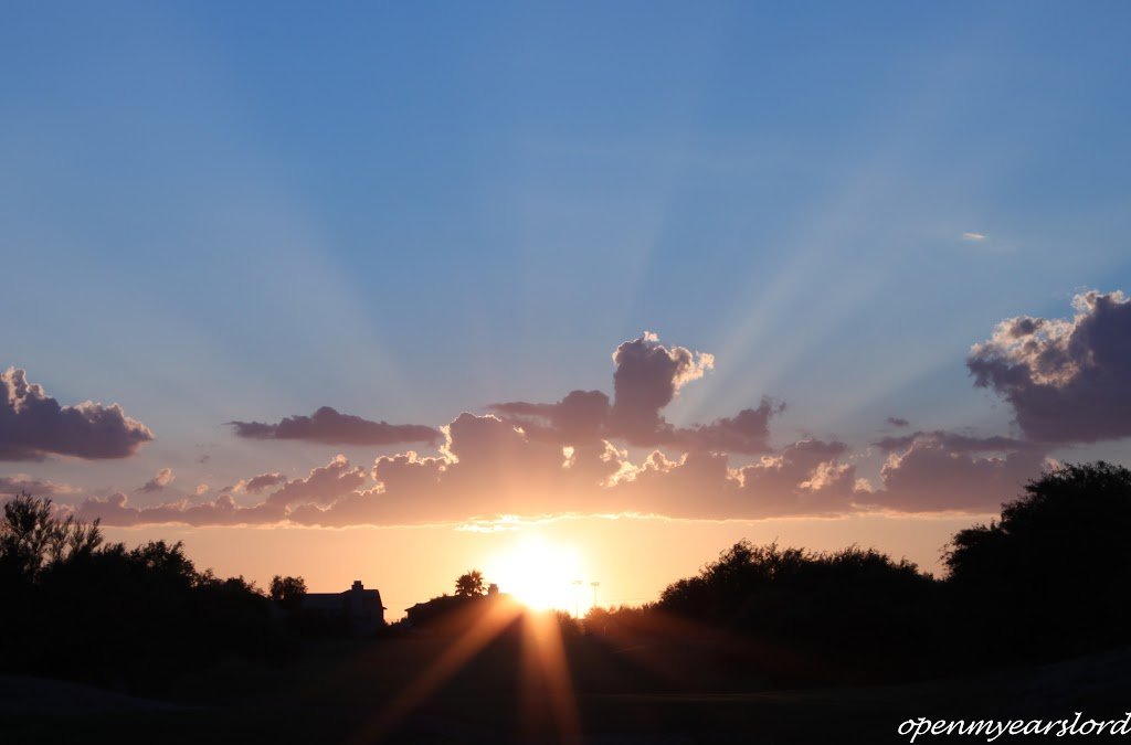 IMG_0697-cropped-252C-signed