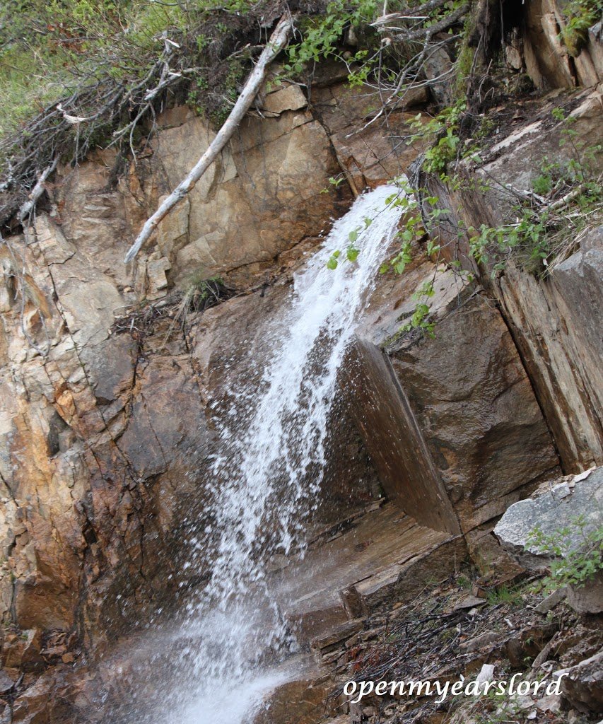 IMG_2718-cropped-252C-signed