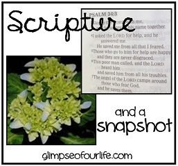 scriptureandsnapshot-from-Marcy