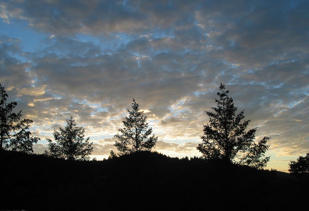 CoastalHwySunset-cropped