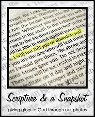 Scripture-2526-A-Snapshot