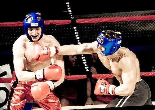 The-Fight