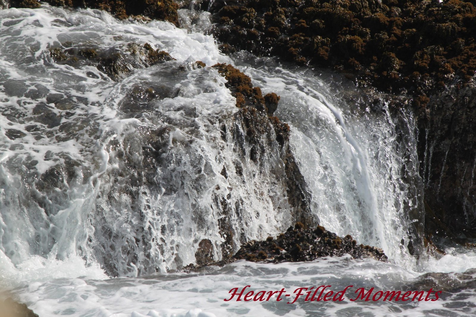 Point Lobos washed in the tide